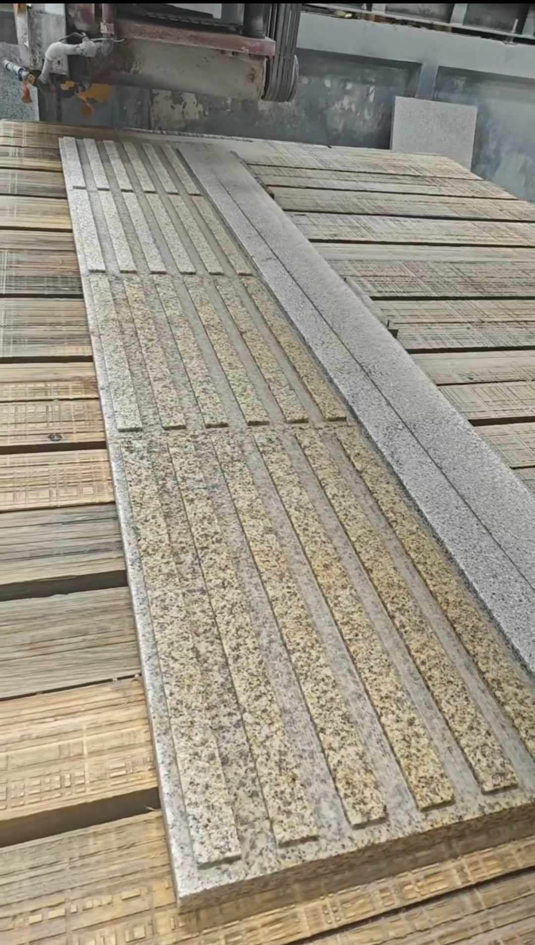 乐山黄金麻盲道石 盲条